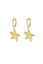 earrings special starfish