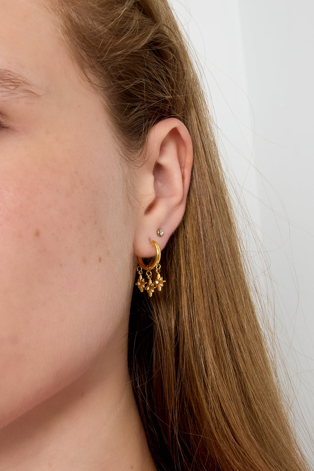 Stainless Steel Drop Earrings Geometric Shape Daily Daily Simple Series Women's jewelry