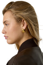 Heart earrings