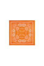 Summer scarves Paisley Pattern Casual Polyester Daily Accessories