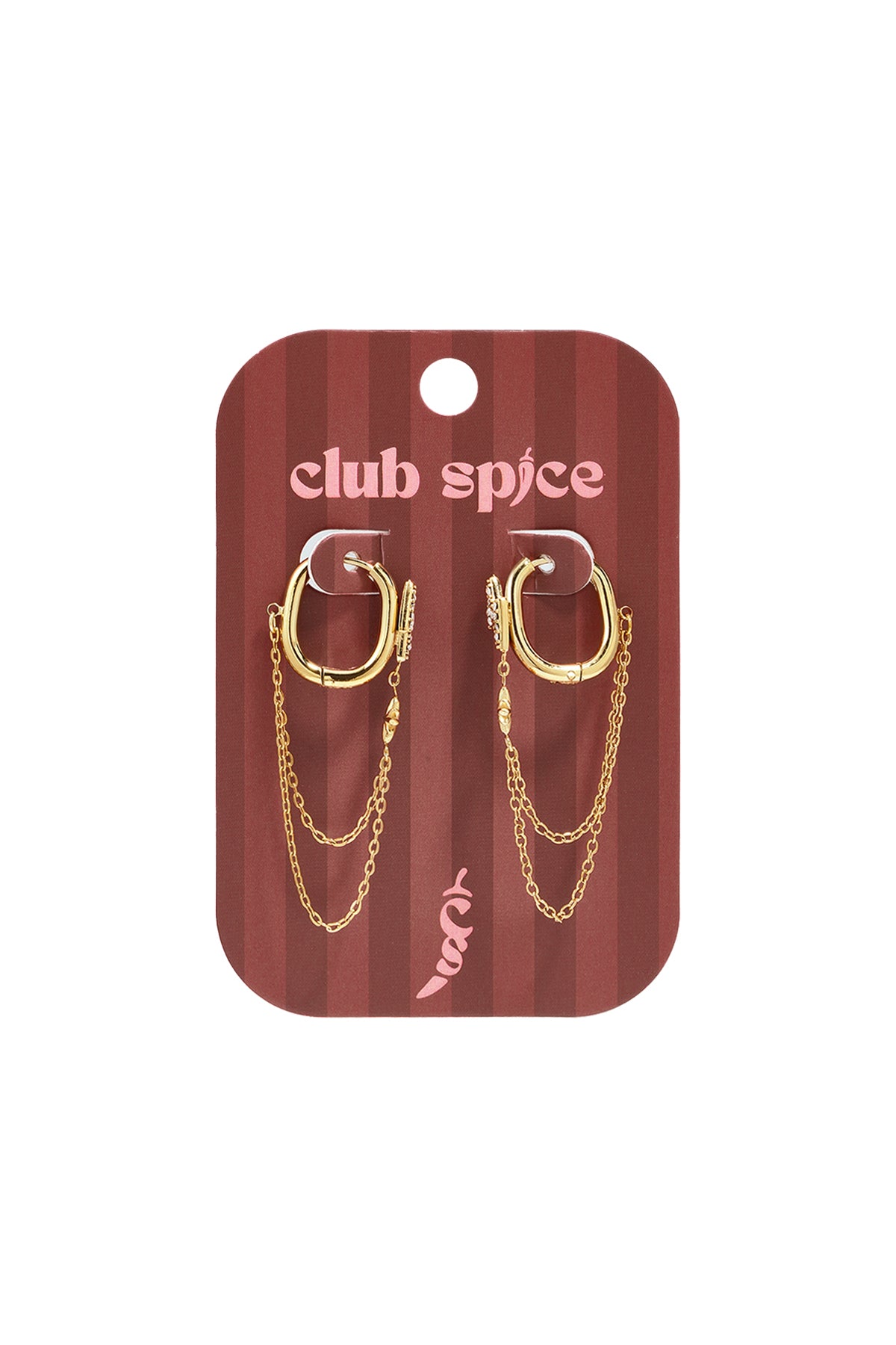 Stainless Steel Dangle Earrings Chain Simple Daily Simple Series Women's jewelry