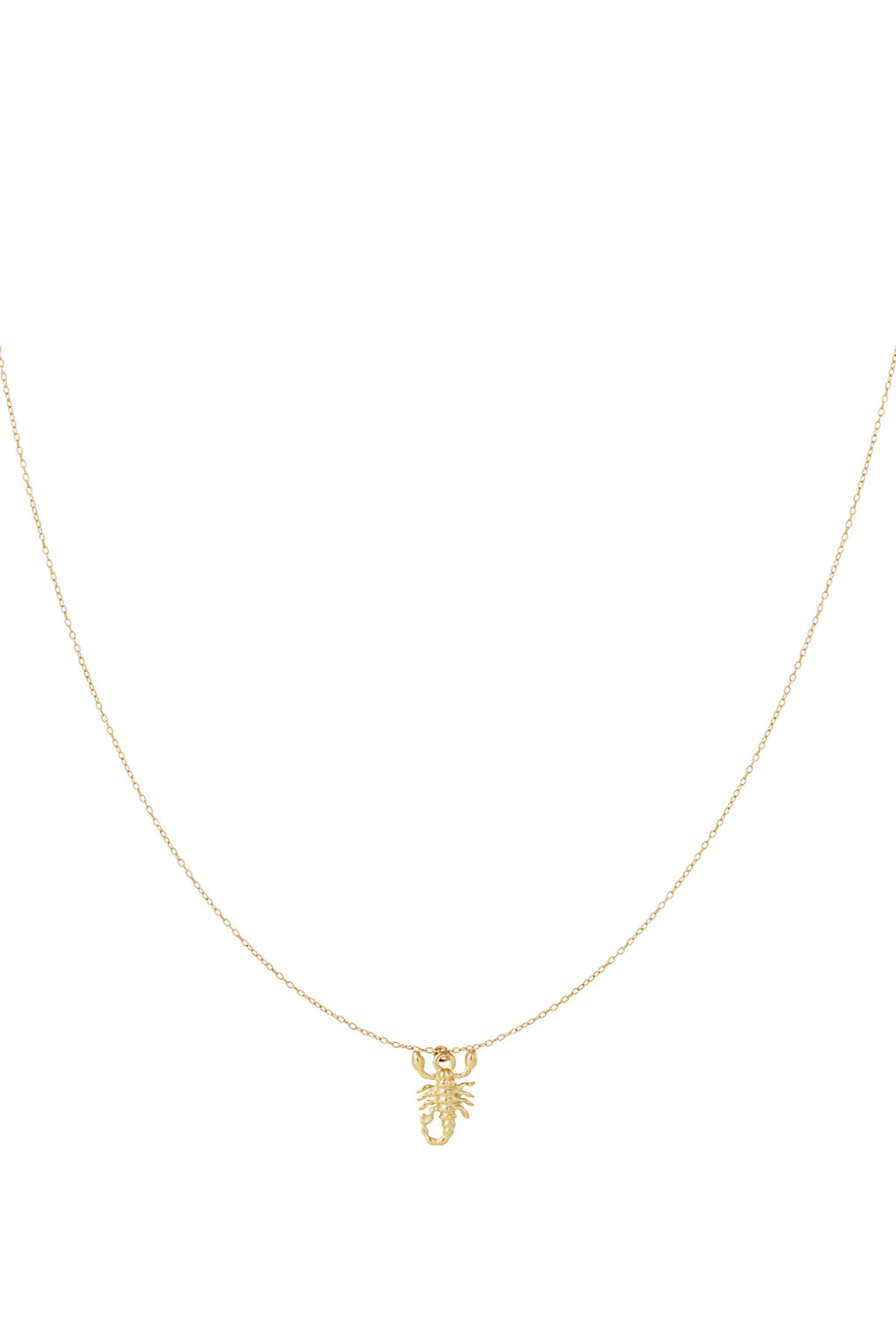 Scorpio Spirit necklace
