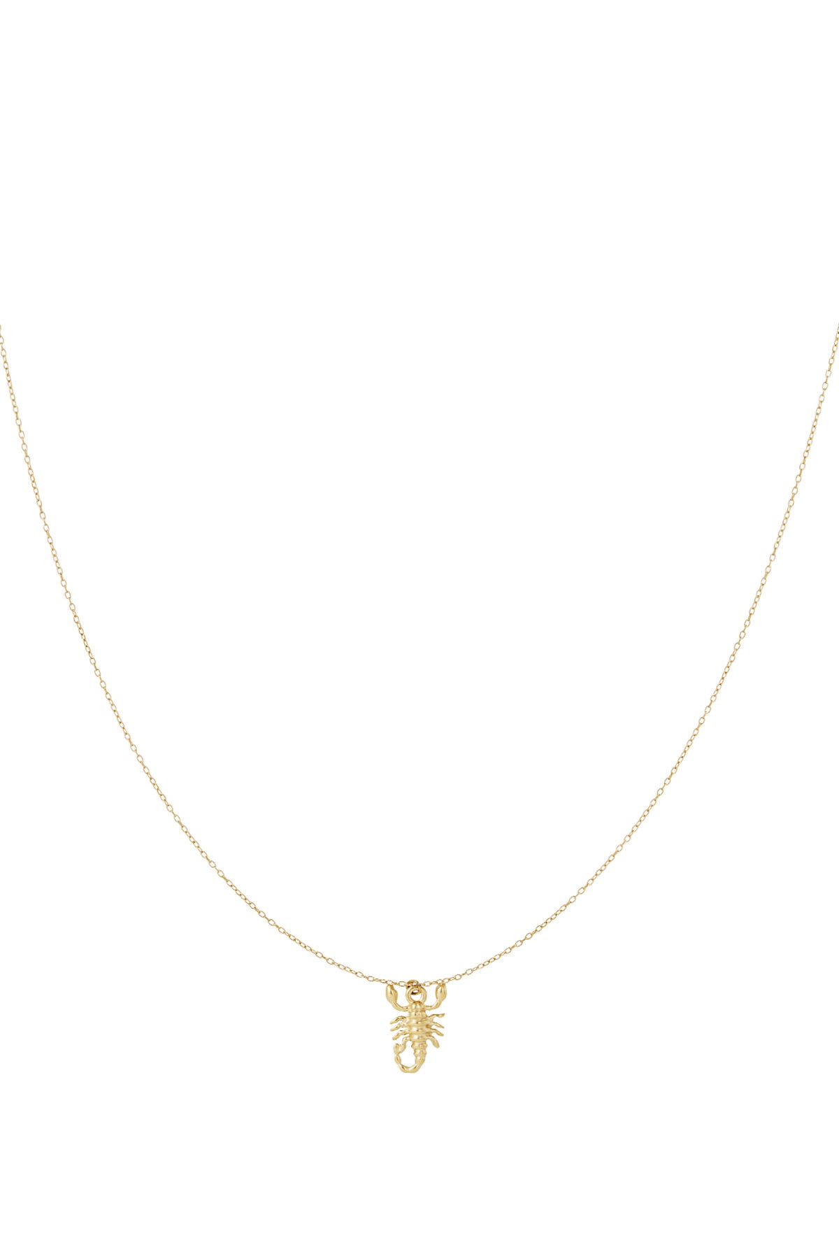 Scorpio Spirit necklace
