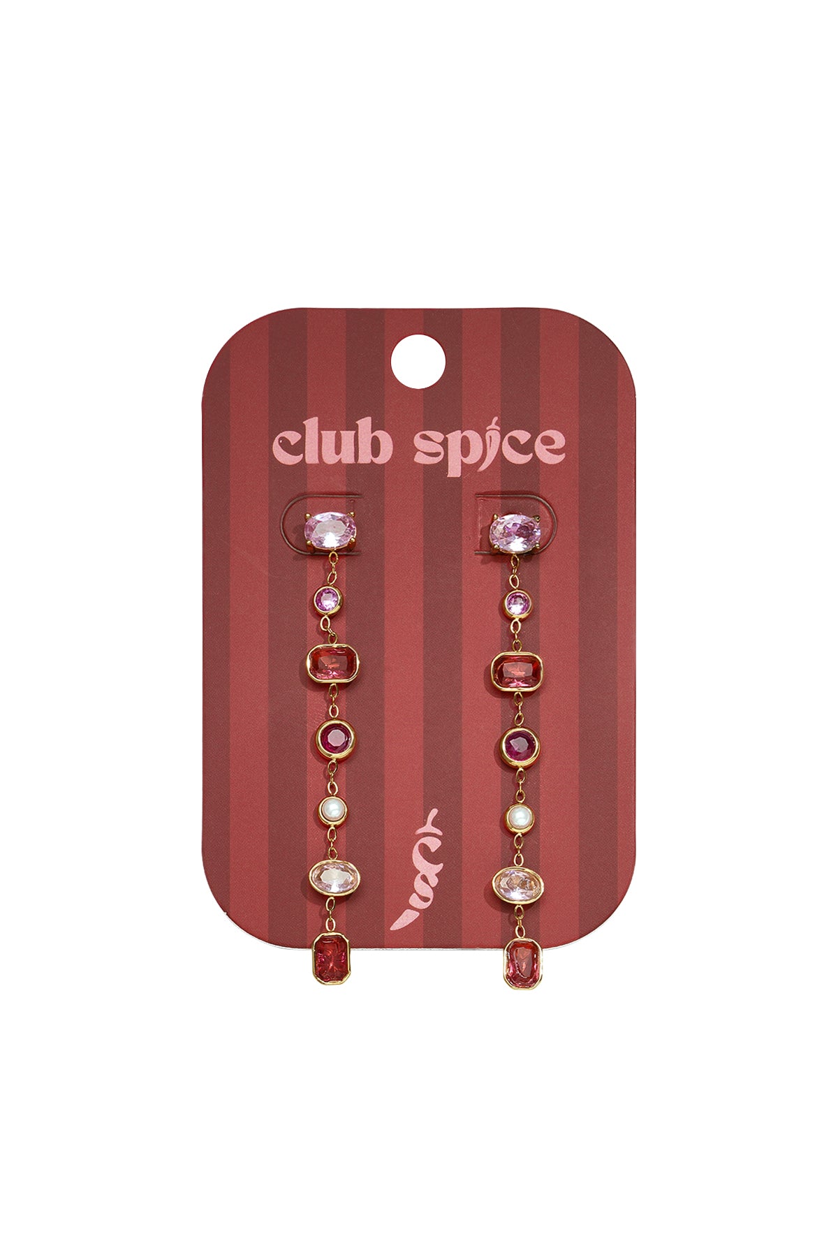 Stainless Steel Dangle Earrings Geometric Shape Elegant Daily Luxurious Series Women's jewelry