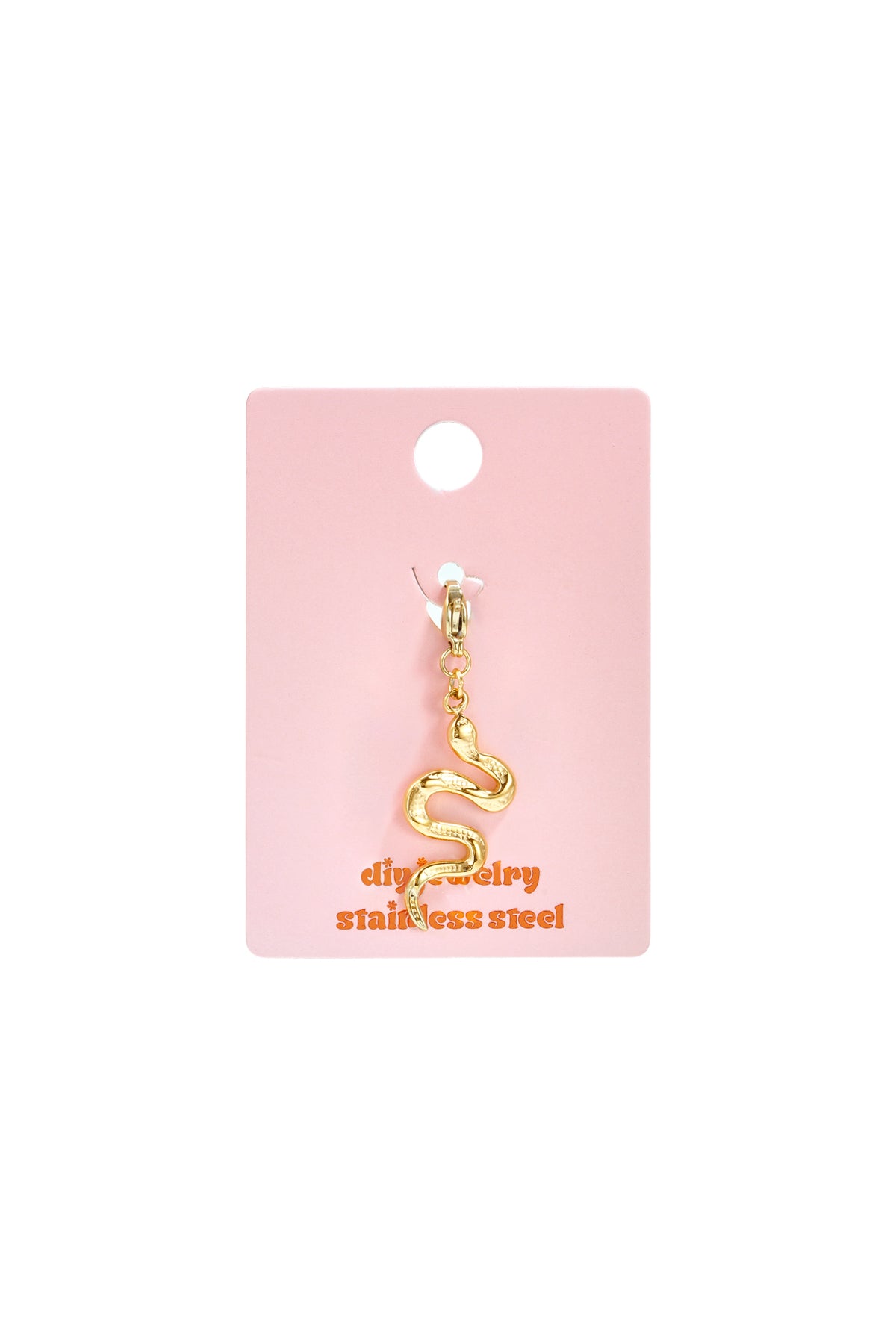 Stainless Steel Jewelry Findings Snake Simple Simple Series Women's jewelry