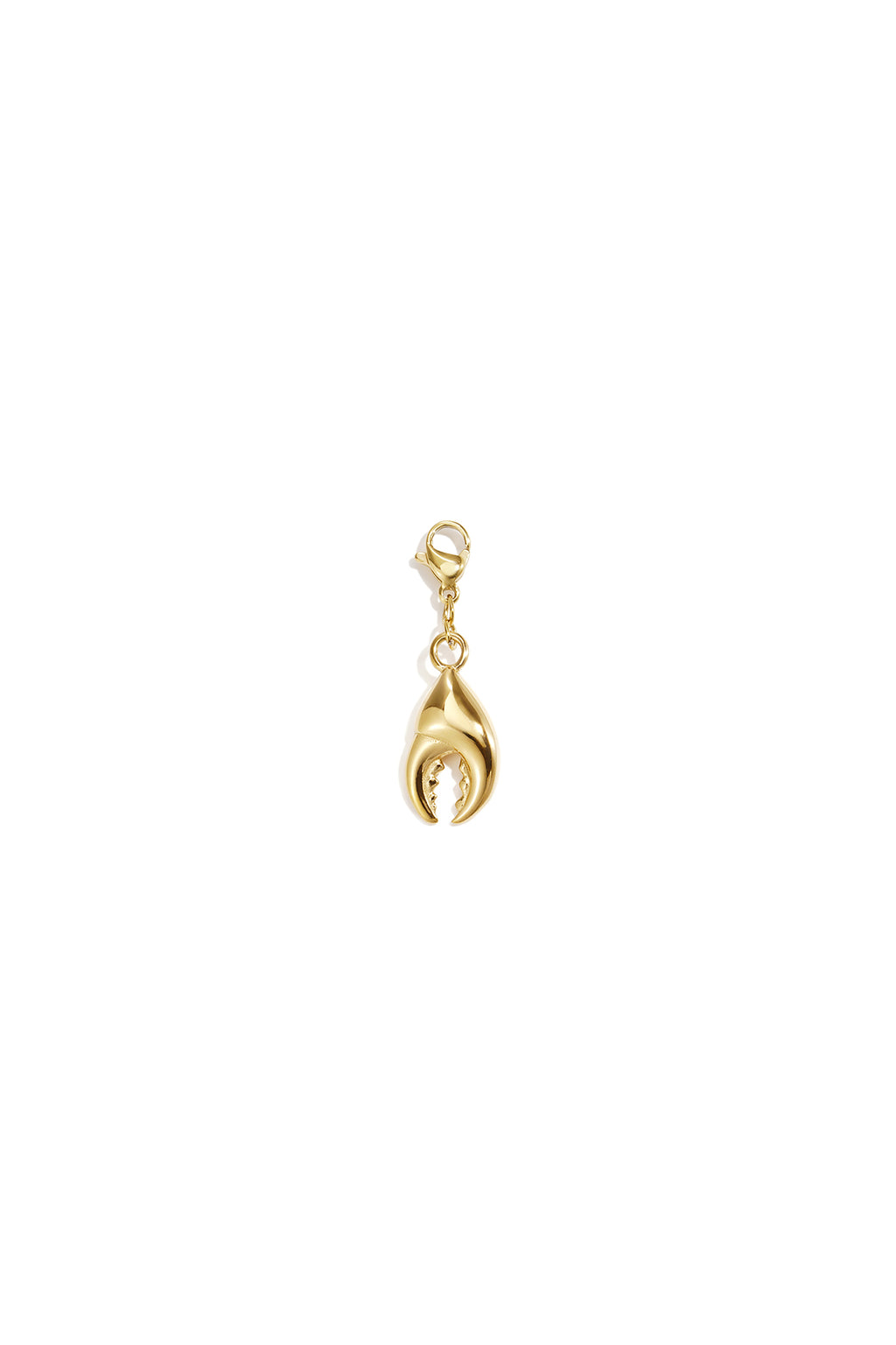 Stainless Steel Jewelry Findings Oceanic Style Simple Daily Simple Series Women's jewelry