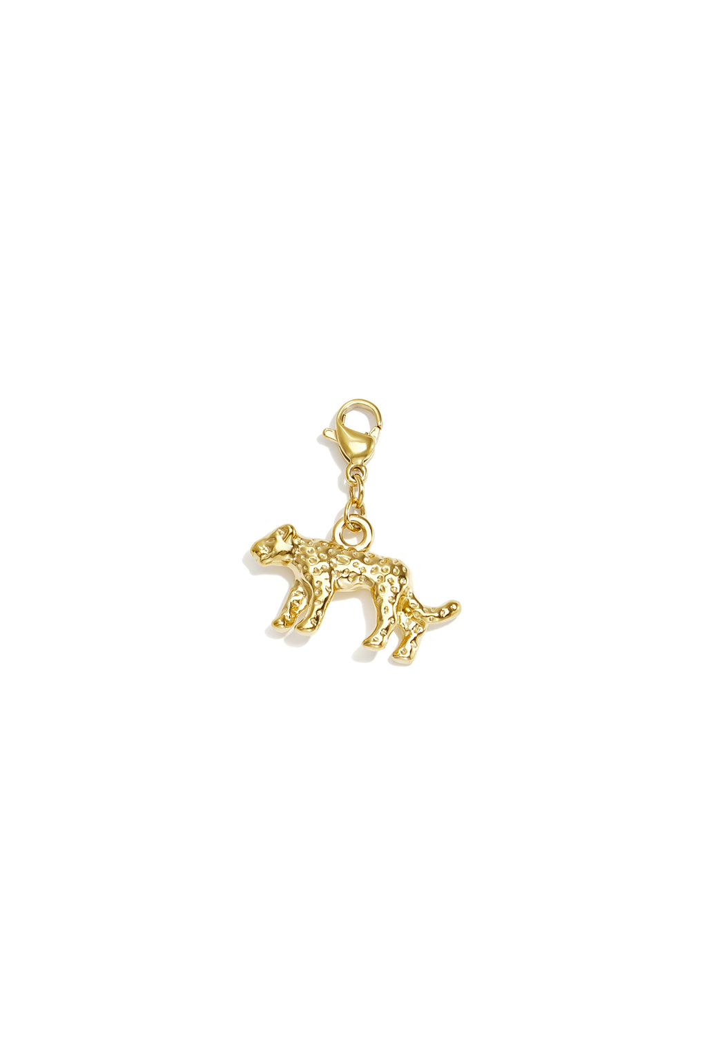 Stainless Steel Jewelry Findings Animal Print Simple Daily Simple Series Women's jewelry