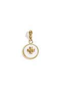 Jewelry charm clover in coin DIY