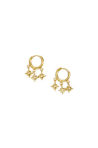 Stainless Steel Drop Earrings Geometric Shape Daily Daily Simple Series Women's jewelry