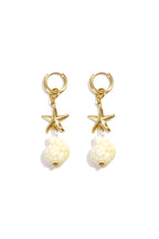 Stainless Steel Drop Earrings Shell Vacation Holiday/Beach Simple Series Women's jewelry